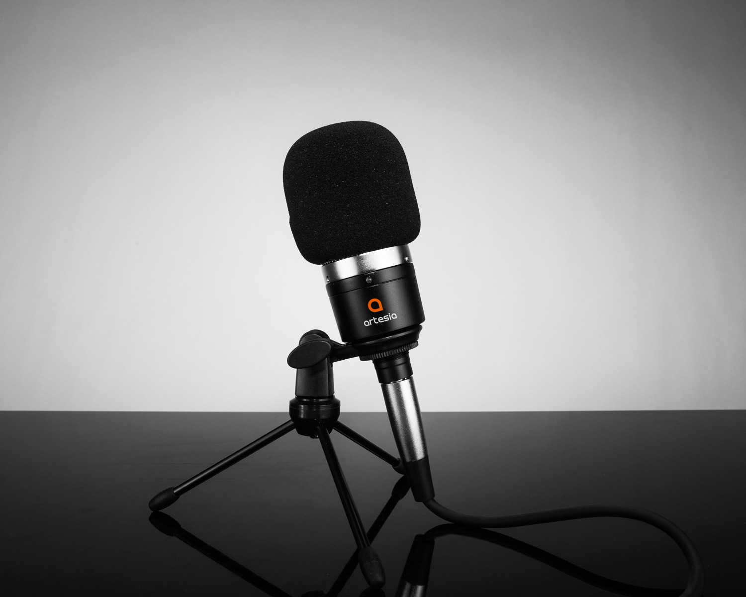 AMC-10 Studio Condenser Microphone - Artesia Pro
