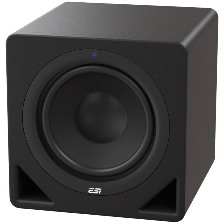 ESI aktiv 10s monitoring speaker